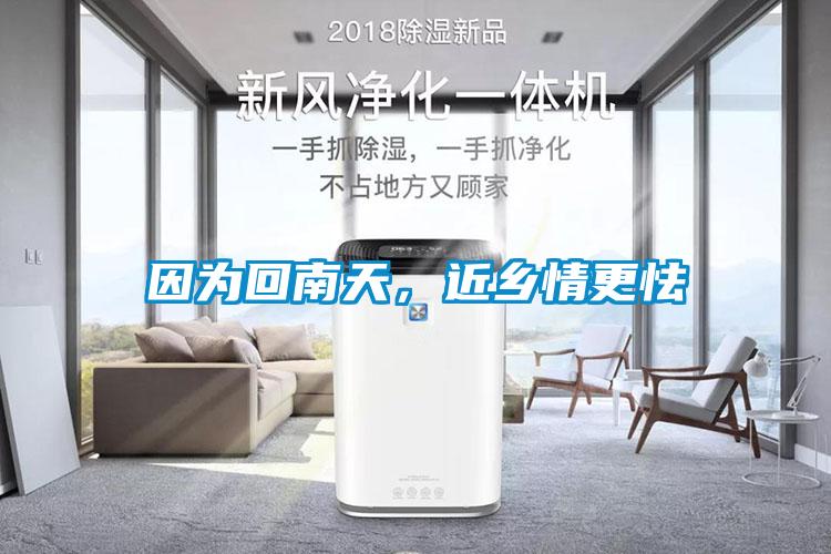 因?yàn)榛啬咸?，近鄉(xiāng)情更怯