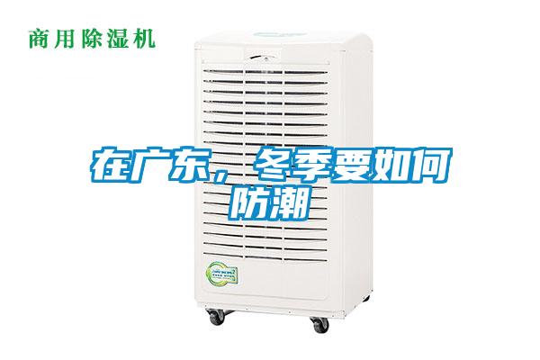 在廣東，冬季要如何防潮