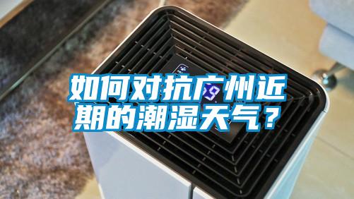 如何對(duì)抗廣州近期的潮濕天氣？