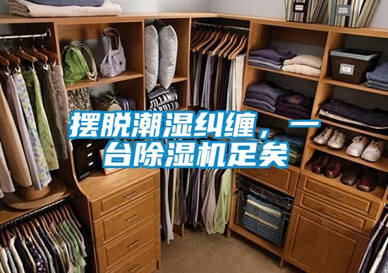 擺脫潮濕糾纏,一臺除濕機(jī)足矣