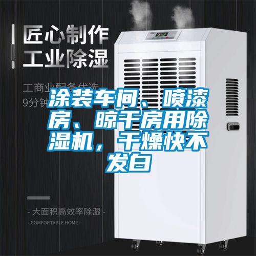 涂裝車間、噴漆房、晾干房用除濕機(jī)，干燥快不發(fā)白
