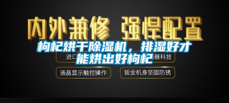 枸杞烘干除濕機(jī)，排濕好才能烘出好枸杞