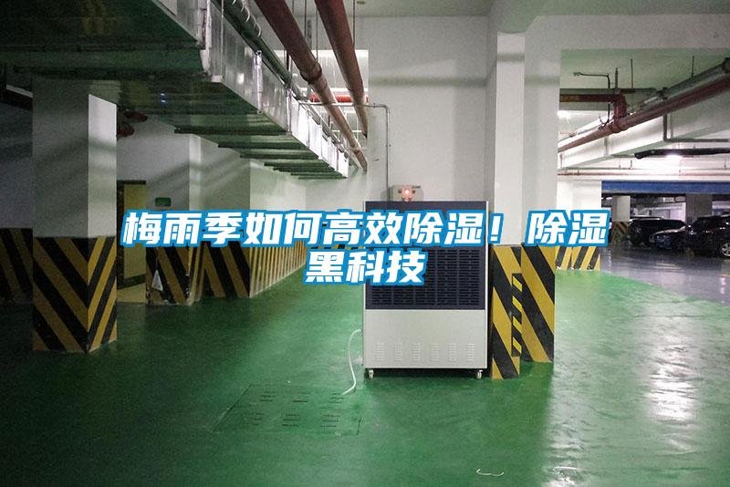 梅雨季如何高效除濕！除濕黑科技