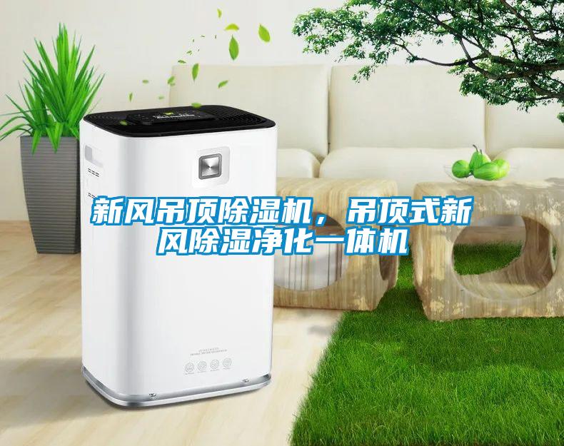 新風(fēng)吊頂除濕機(jī)，吊頂式新風(fēng)除濕凈化一體機(jī)