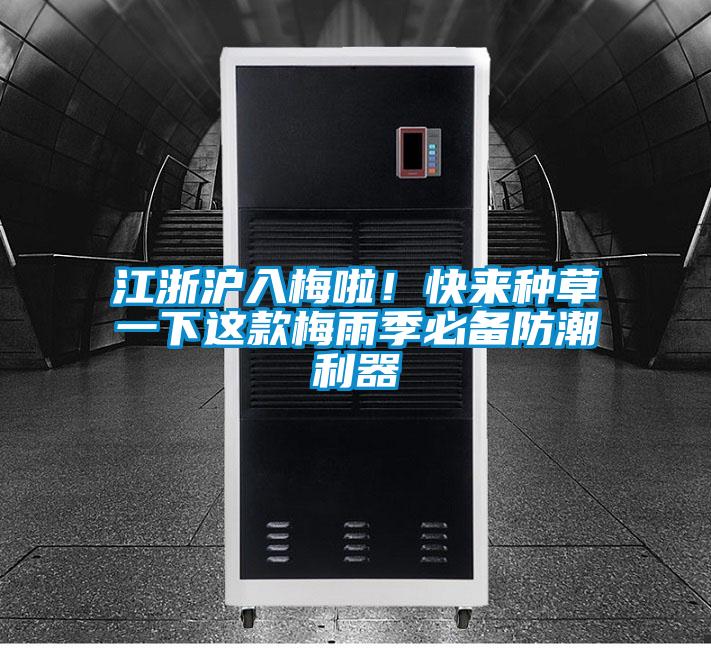 江浙滬入梅啦！快來種草一下這款梅雨季必備防潮利器