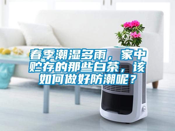 春季潮濕多雨，家中貯存的那些白茶，該如何做好防潮呢？