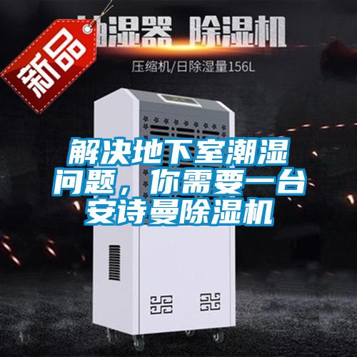 解決地下室潮濕問(wèn)題，你需要一臺(tái)安詩(shī)曼除濕機(jī)