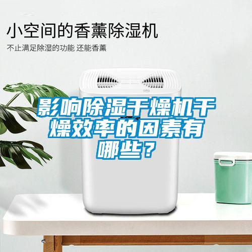 影響除濕干燥機干燥效率的因素有哪些？