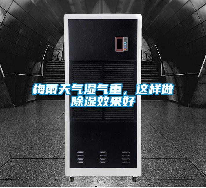 梅雨天氣濕氣重，這樣做除濕效果好