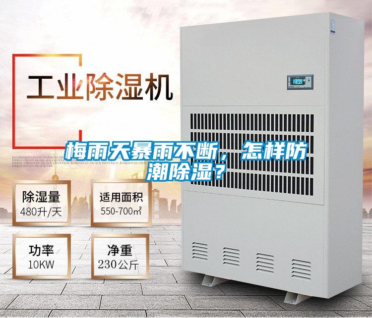梅雨天暴雨不斷，怎樣防潮除濕？