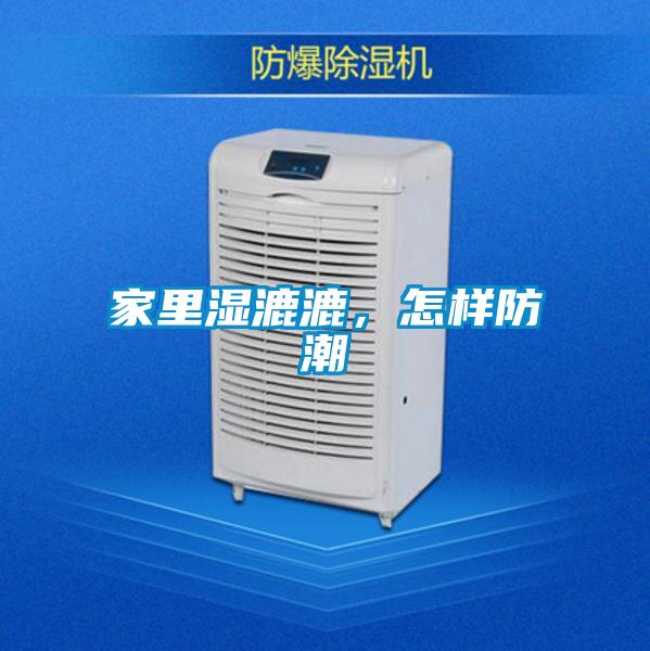 家里濕漉漉，怎樣防潮