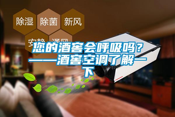 您的酒窖會呼吸嗎？——酒窖空調了解一下