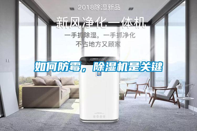 如何防霉，除濕機(jī)是關(guān)鍵