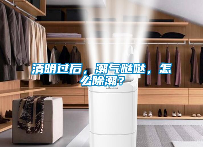 清明過后，潮氣噠噠，怎么除潮？