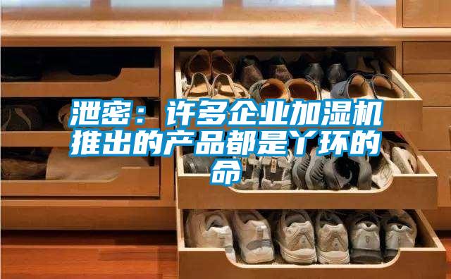 泄密:許多企業(yè)加濕機(jī)推出的產(chǎn)品都是丫環(huán)的命