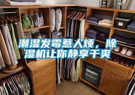 潮濕發(fā)霉惹人煩，除濕機讓你靜享干爽