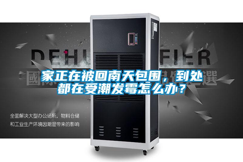 家正在被回南天包圍，到處都在受潮發(fā)霉怎么辦？