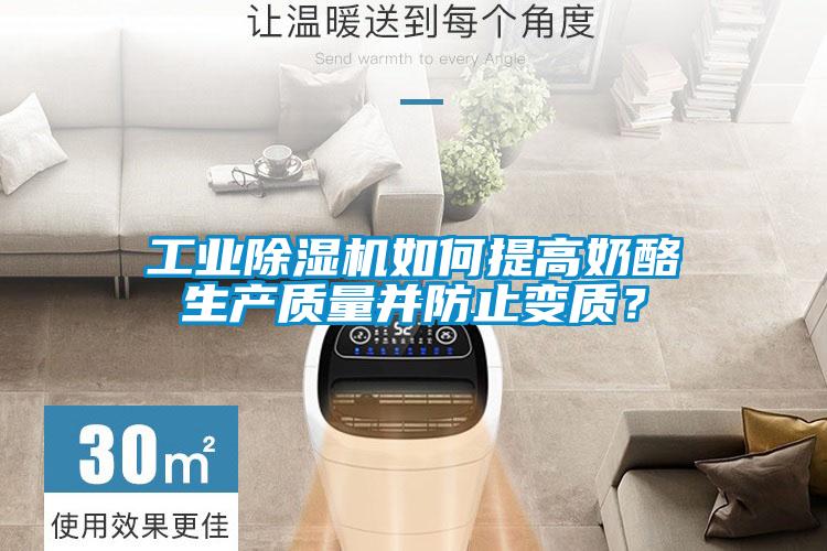 工業(yè)除濕機如何提高奶酪生產(chǎn)質(zhì)量并防止變質(zhì)?
