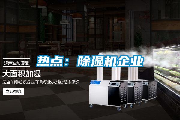 熱點(diǎn):除濕機(jī)企業(yè)