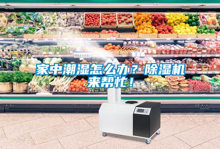 家中潮濕怎么辦？除濕機來幫忙！