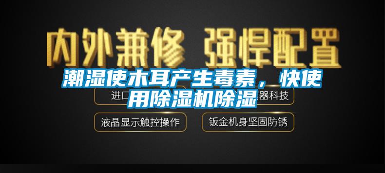 潮濕使木耳產(chǎn)生毒素，快使用除濕機除濕
