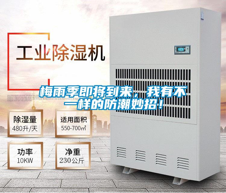 梅雨季即將到來(lái)，我有不一樣的防潮妙招！