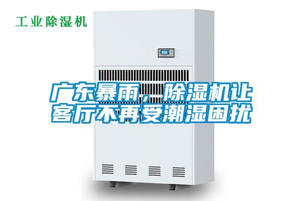 廣東暴雨，除濕機(jī)讓客廳不再受潮濕困擾