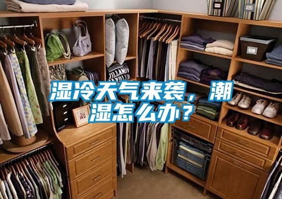 濕冷天氣來襲，潮濕怎么辦？