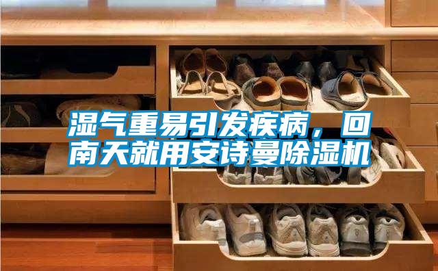 濕氣重易引發(fā)疾病，回南天就用安詩曼除濕機