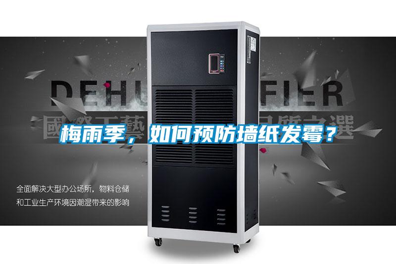 梅雨季，如何預(yù)防墻紙發(fā)霉？