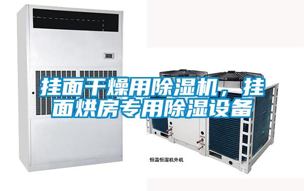 掛面干燥用除濕機(jī)，掛面烘房專用除濕設(shè)備
