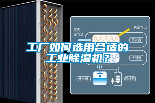 工廠如何選用合適的工業(yè)除濕機？