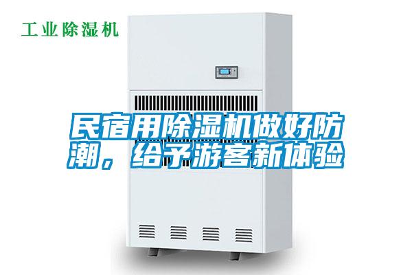 民宿用除濕機做好防潮，給予游客新體驗