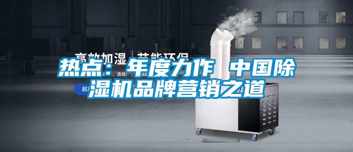 熱點(diǎn)：年度力作 中國(guó)除濕機(jī)品牌營(yíng)銷(xiāo)之道