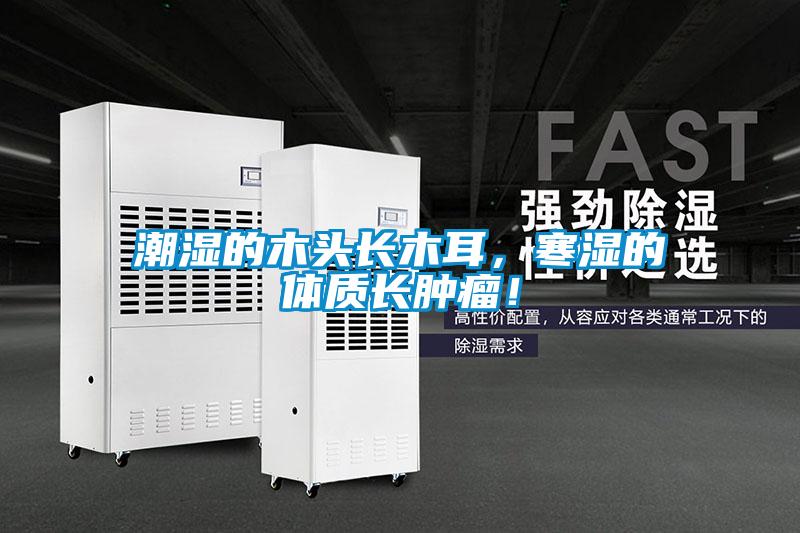 潮濕的木頭長木耳，寒濕的體質(zhì)長腫瘤！