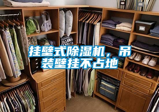 掛壁式除濕機(jī)，吊裝壁掛不占地