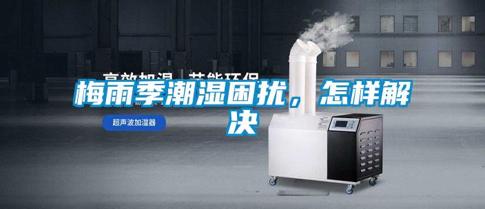 梅雨季潮濕困擾，怎樣解決