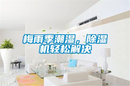 梅雨季潮濕，除濕機(jī)輕松解決