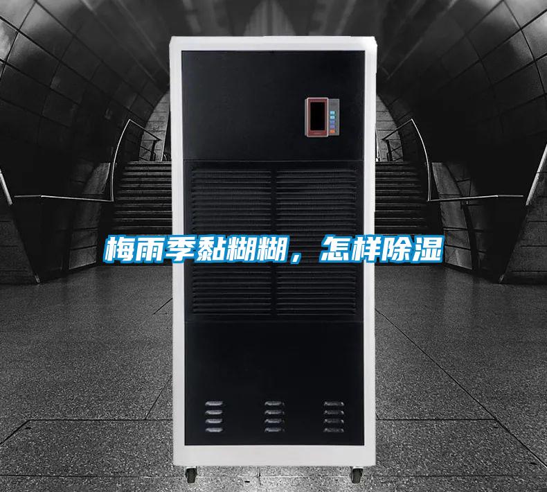 梅雨季黏糊糊，怎樣除濕