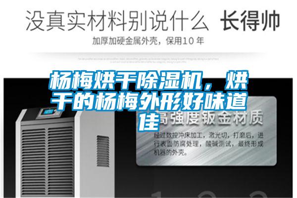 楊梅烘干除濕機，烘干的楊梅外形好味道佳