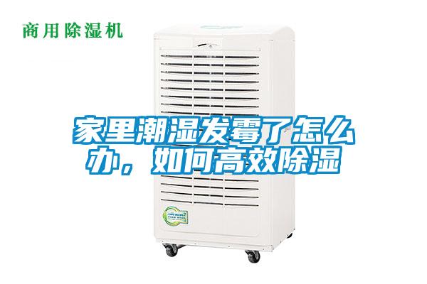 家里潮濕發(fā)霉了怎么辦，如何高效除濕