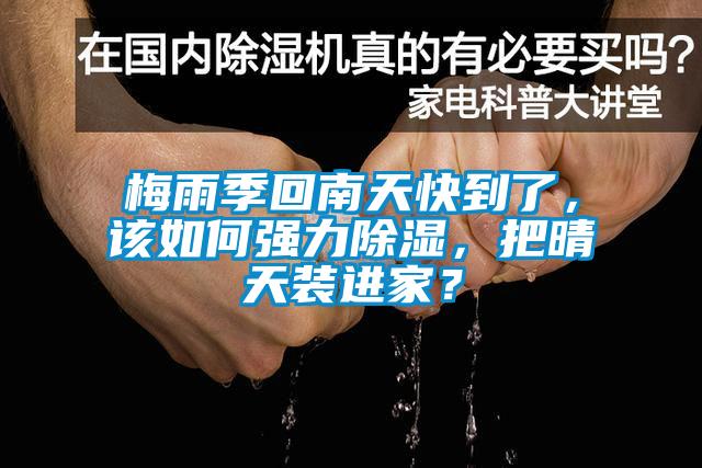 梅雨季回南天快到了，該如何強力除濕，把晴天裝進家？