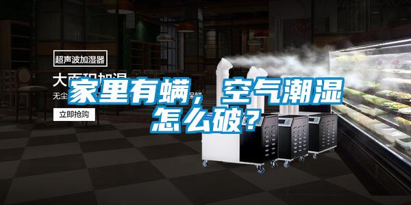 家里有螨，空氣潮濕怎么破？