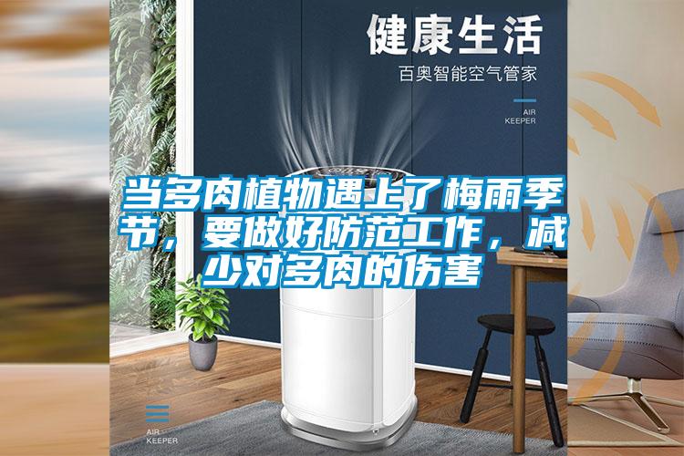 當(dāng)多肉植物遇上了梅雨季節(jié)，要做好防范工作，減少對多肉的傷害