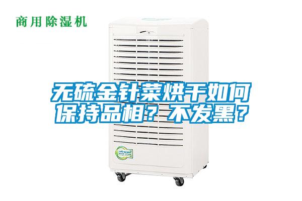 無硫金針菜烘干如何保持品相？不發(fā)黑？