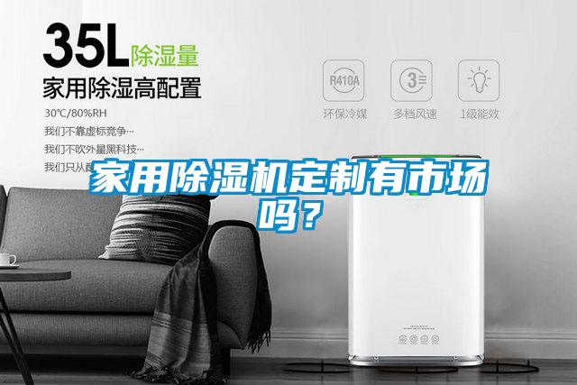 家用除濕機定制有市場嗎？