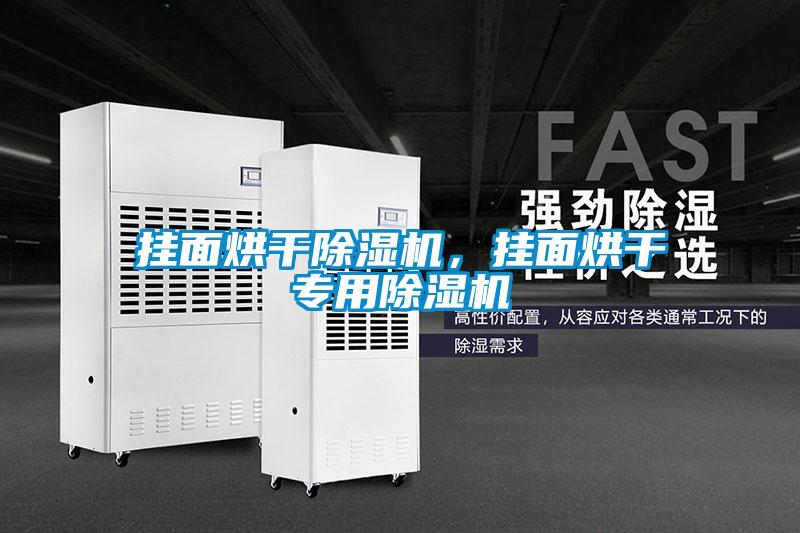 掛面烘干除濕機(jī)，掛面烘干專用除濕機(jī)