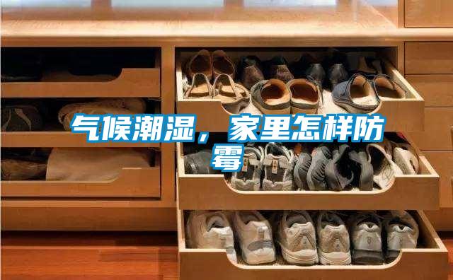 氣候潮濕，家里怎樣防霉