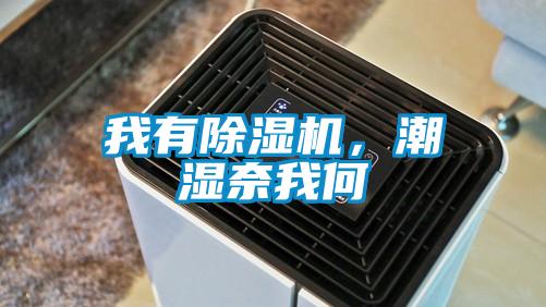 我有除濕機，潮濕奈我何