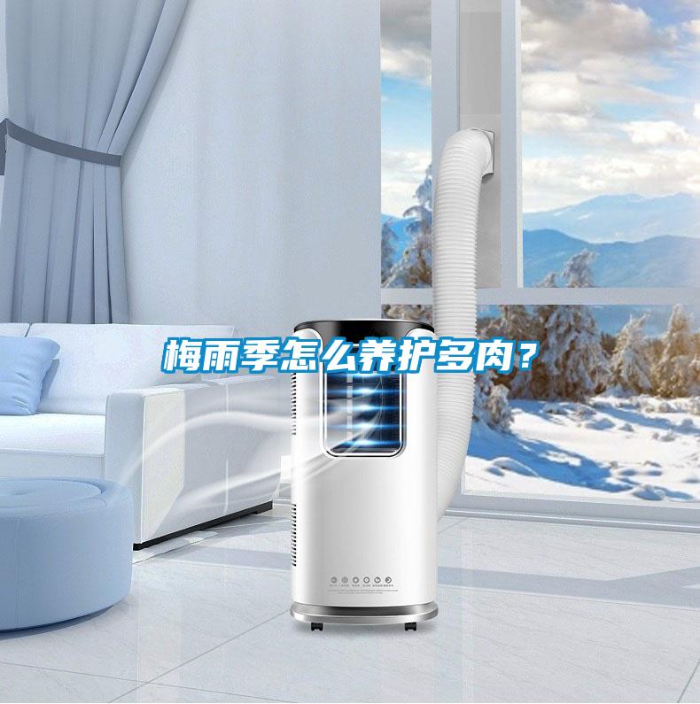 梅雨季怎么養(yǎng)護多肉？